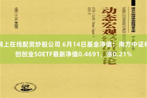 网上在线配资炒股公司 6月14日基金净值：南方中证科创创业50ETF最新净值0.4691，涨0.21%