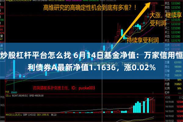 炒股杠杆平台怎么找 6月14日基金净值：万家信用恒利债券A最新净值1.1636，涨0.02%