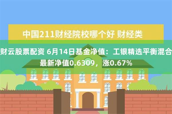 财云股票配资 6月14日基金净值：工银精选平衡混合最新净值0.6309，涨0.67%