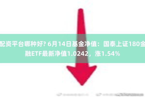 配资平台哪种好? 6月14日基金净值：国泰上证180金融ETF最新净值1.0242，涨1.54%