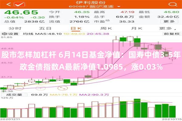 股市怎样加杠杆 6月14日基金净值：国寿中债3-5年政金债指数A最新净值1.0985，涨0.03%