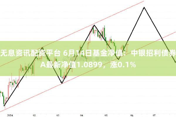 无息资讯配资平台 6月14日基金净值：中银招利债券A最新净值1.0899，涨0.1%