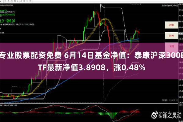 专业股票配资免费 6月14日基金净值：泰康沪深300ETF最新净值3.8908，涨0.48%