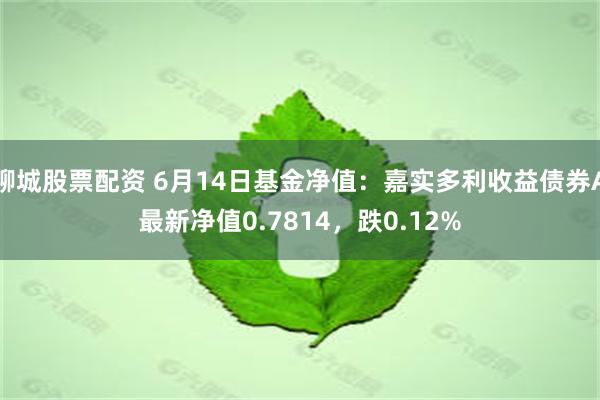 聊城股票配资 6月14日基金净值：嘉实多利收益债券A最新净值0.7814，跌0.12%