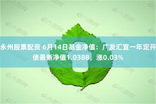 永州股票配资 6月14日基金净值：广发汇宜一年定开债最新净值1.0388，涨0.03%