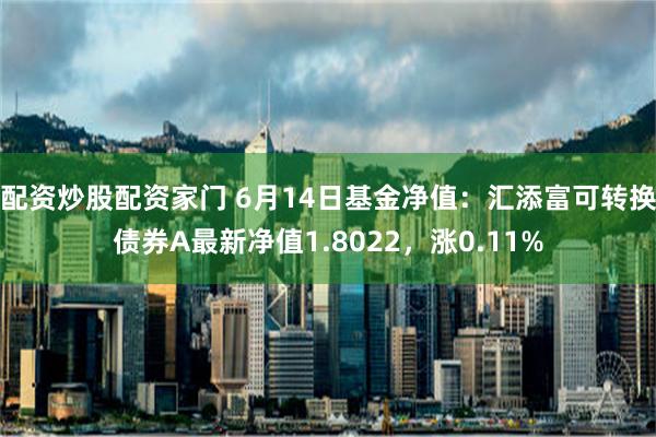 配资炒股配资家门 6月14日基金净值：汇添富可转换债券A最新净值1.8022，涨0.11%