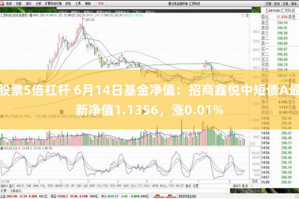 股票5倍杠杆 6月14日基金净值：招商鑫悦中短债A最新净值1.1356，涨0.01%