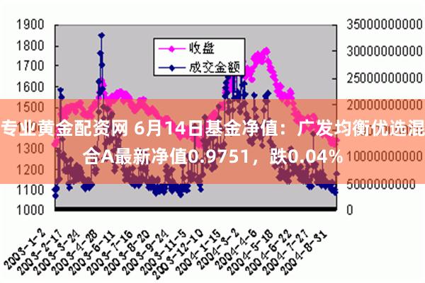 专业黄金配资网 6月14日基金净值：广发均衡优选混合A最新净值0.9751，跌0.04%