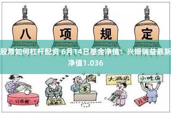 股票如何杠杆配资 6月14日基金净值：兴银瑞益最新净值1.036