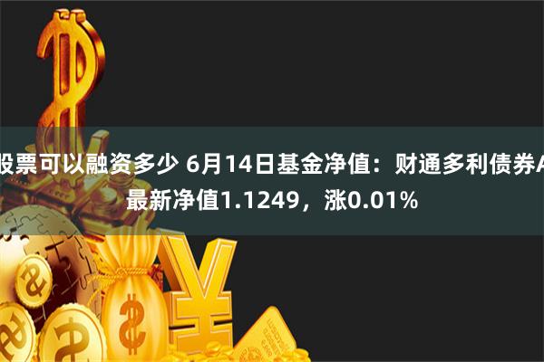 股票可以融资多少 6月14日基金净值：财通多利债券A最新净值1.1249，涨0.01%