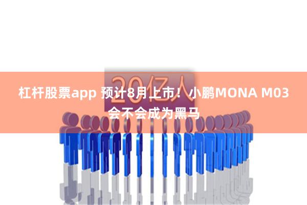 杠杆股票app 预计8月上市！小鹏MONA M03会不会成为黑马