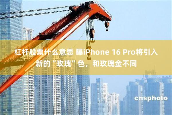 杠杆股票什么意思 曝iPhone 16 Pro将引入新的“玫瑰”色，和玫瑰金不同