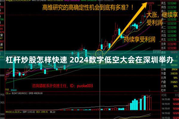 杠杆炒股怎样快速 2024数字低空大会在深圳举办