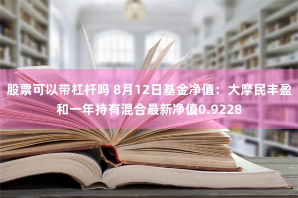 股票可以带杠杆吗 8月12日基金净值：大摩民丰盈和一年持有混合最新净值0.9228