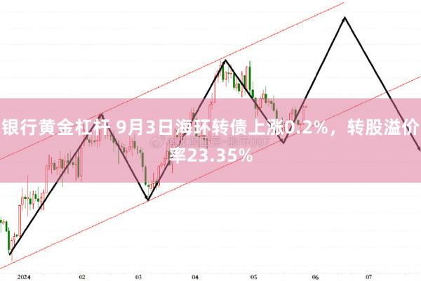 银行黄金杠杆 9月3日海环转债上涨0.2%，转股溢价率23.35%