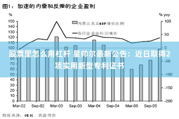 股票里怎么用杠杆 星帅尔最新公告：近日取得2项实用新型专利证书