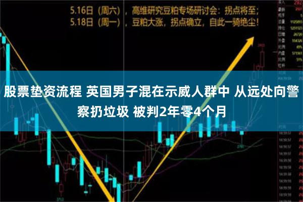 股票垫资流程 英国男子混在示威人群中 从远处向警察扔垃圾 被判2年零4个月