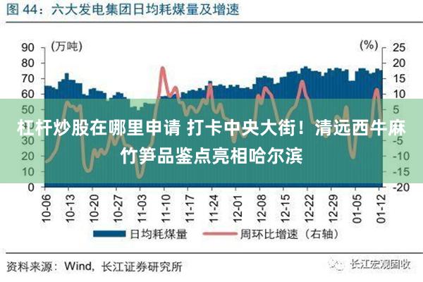 杠杆炒股在哪里申请 打卡中央大街！清远西牛麻竹笋品鉴点亮相哈尔滨