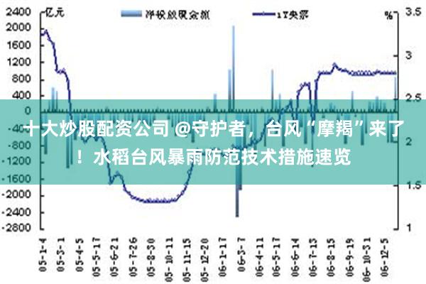 十大炒股配资公司 @守护者，台风“摩羯”来了！水稻台风暴雨防范技术措施速览