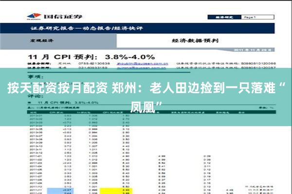 按天配资按月配资 郑州：老人田边捡到一只落难“凤凰”