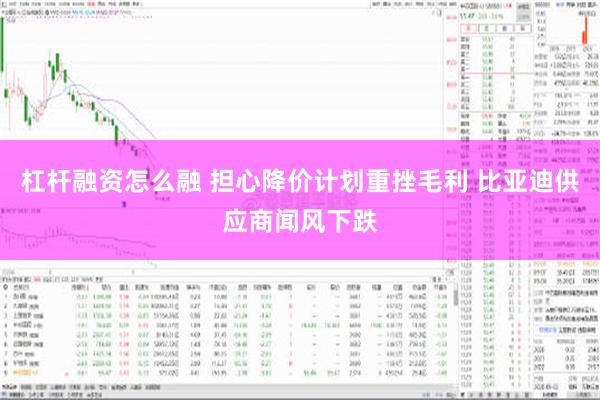 杠杆融资怎么融 担心降价计划重挫毛利 比亚迪供应商闻风下跌